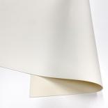 Mākslīga āda (50x35) - White