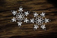 Snowflakes #1