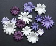 Bloom (PURPLE/WHITE)