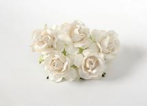 Large roses - White