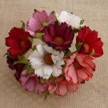 Camomile - Red/Pink