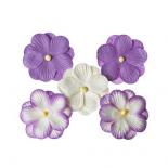 Flower set - Purple