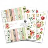 Background paper - Till we meet again