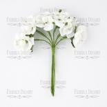 Peach blossom - White