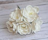 Magnolias - White