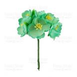 Jasmine - Mint