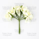 Peach blossom - Ivory