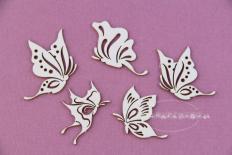 Paradise butterfly