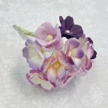 Sweetheart blossom - Purple/White