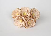 Magnolias - Beige