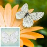 Mould - Butterfly 2 (XS)