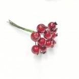 Red berries