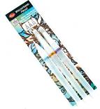 Water brush set