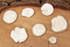 Chipboard - False Wooden chips