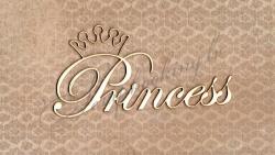 Princess with crown