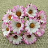 Camomile - Pink/White