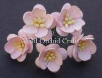 Cherry Blossom - Pale Pink
