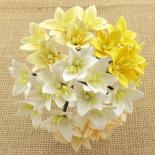 Small Lilies - White / Cream