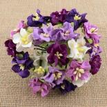 Mini gardenia - Purple