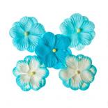 Flower set - Turquoise