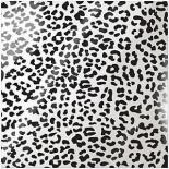 Caurspīdīga acetāta lapa - Cheetah black