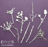 Chipboard - Look of nature