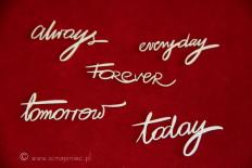 Chipboard - Always
