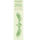 Border embossing folder - Pine branch