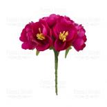 Jasmine - Fuchsia