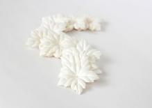 Poinsetta - White