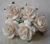 Roses 25mm