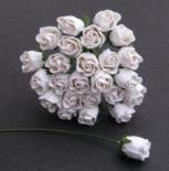 Roses - White