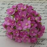Sweetheart blossom - Pink