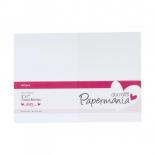 Big card blanks and envelopes