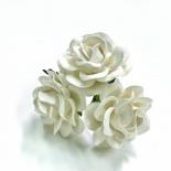 Large roses - White