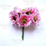 Poppy - Pink