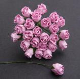Roses - Pink