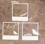 Birds in frames