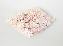 Tiny flowers - White / soft pink