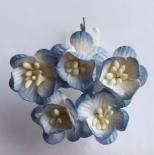 Cherry blossom - Antique blue