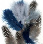 Feathers - Ocean