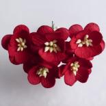 Cherry blossom - Red