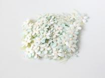 Tiny flowers - Mint and white