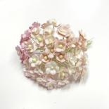 Mini sweethearts - Pink
