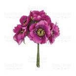 Poppy - Deep pink