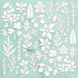 Chipboard - Nature 2