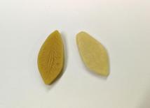 Mold - Small Leaf