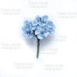 Peach blossom mini - Baby blue