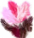 Feathers - Pink