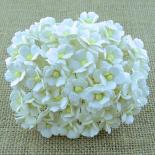 Sweetheart blossom - White